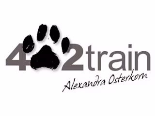 Custom WordPress Website for a Dog Training Institute