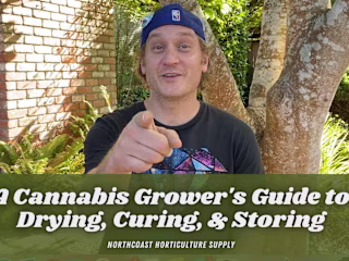 YouTube + Social Media Videos for Cannabis Company