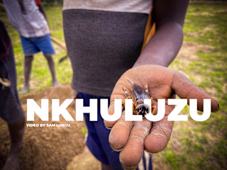Nkhuluzu(Crickets) on Behance