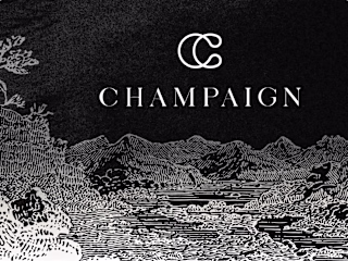 3D-Webdesign & Development | CHAMPAIGN