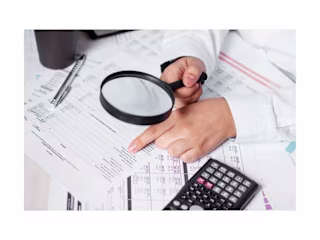 Audit Preparation