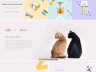 Shopify Website