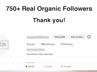 Instagram Organic Followers Growth