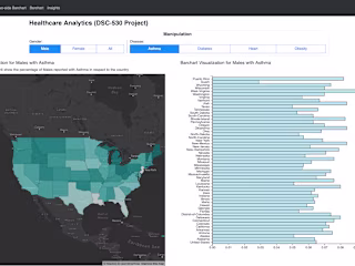 Healthcare Analytics Visualization