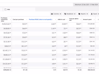 Scaling Meta Ads for Maximum ROI