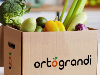 Ortograndi