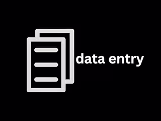 Data Entry for E-commerce Product Listings