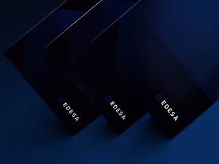 Brand Identity and Web Design for EDESA