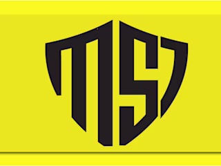 I am an expert Logo Designer