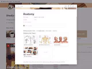 Notion Digital Art Study Guide!