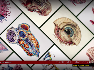 MEDICAL ILLUSTRATION SERVICES