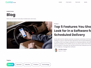 GoWizi - Webflow Landing Page and Blog