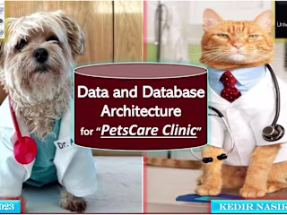 Data and Database Architecture for Petscare Clinic