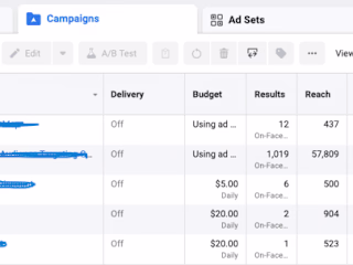 Creating Effective Social Media Campaigns for Lead Generation