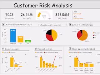 Customer risk analysis
