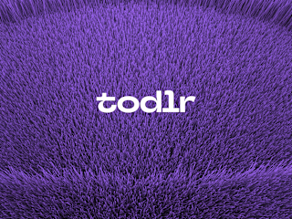 Brand Design for Todlr