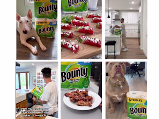 Bounty Get Sheet Done Influencer Campaign 