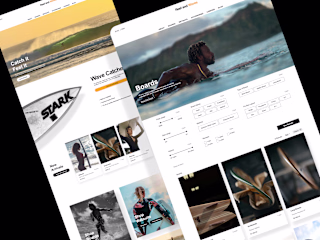 Reef & Waves - Wireframes + Prototype