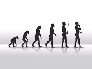 Evaluation of human 