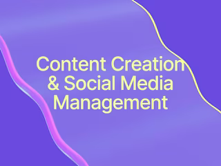Instagram Management & Content Creation