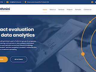 UX/UI - Data Analysis Website