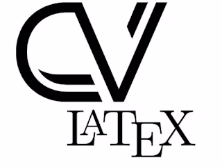 High Quality Academic CV Development