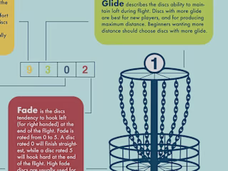 DISC DYNAMICS