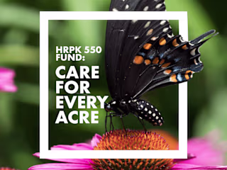 Hudson River Park Friends: Brand Strategy & Design