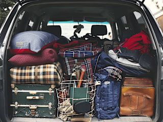Trunk Tetris