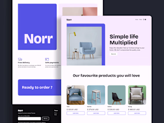 Norr -  Furniture and Interior Business Webflow Template