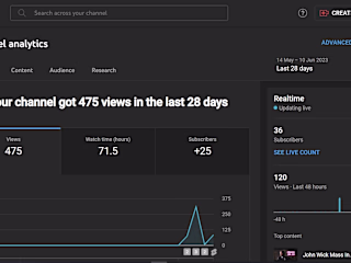 Social media growth statistics of a client