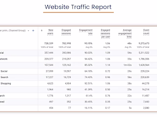 Ads Campaign Manager for Ecommerce Client