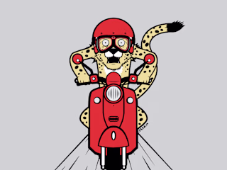 Cheetah on a Scooter