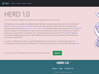 HERD 1.0z