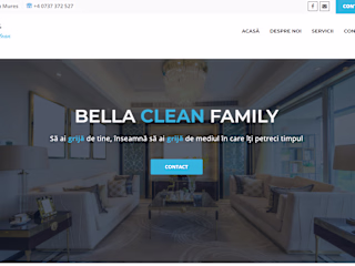 Cleaning Firm Website