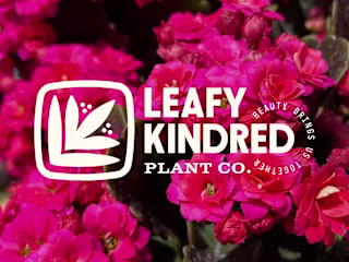 Leafy Kindred Plant Co. Identity