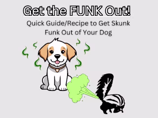 Get the FUNK Out! Quick Guide/Recipe for a Skunk Sprayed Do