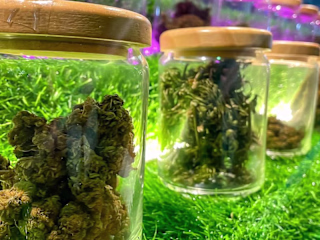 A Guide to Legal Weed in NYC