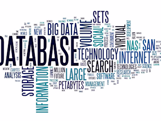 Enterprise Data Optimization for Financial Firm