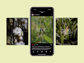 Non-GMO Project | Social Media Management