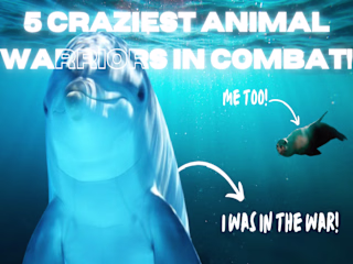 Eye-Catching Thumbnails for Youtube Videos