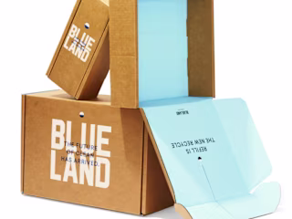 Blueland Social Media + Copy