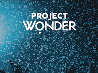Project Wonder Website Design