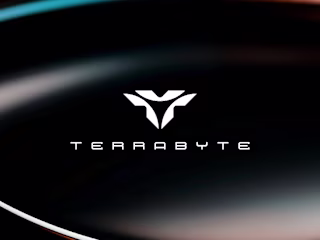 TerraByte — Branding & Visual Identity Exploration