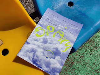 S.P.A.M
Special Presentation Art Mail