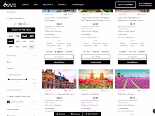 Travel Agency Multi-Site in Angular with Server Side Rendering