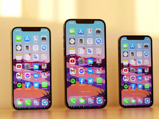 Flutter App Development