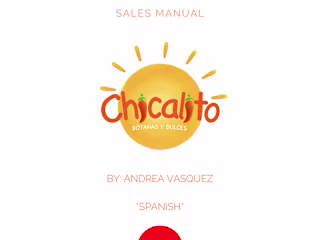 BRANDING + SALES PLAN CHICALITO