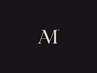 Aesthetic Magnetic - Branding