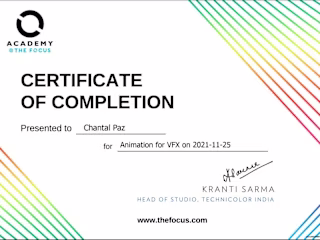 3D Animation for VFX - Academy @ The Focus